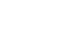 FLAMINO-SALES-LOGOS_0001_Layer-7